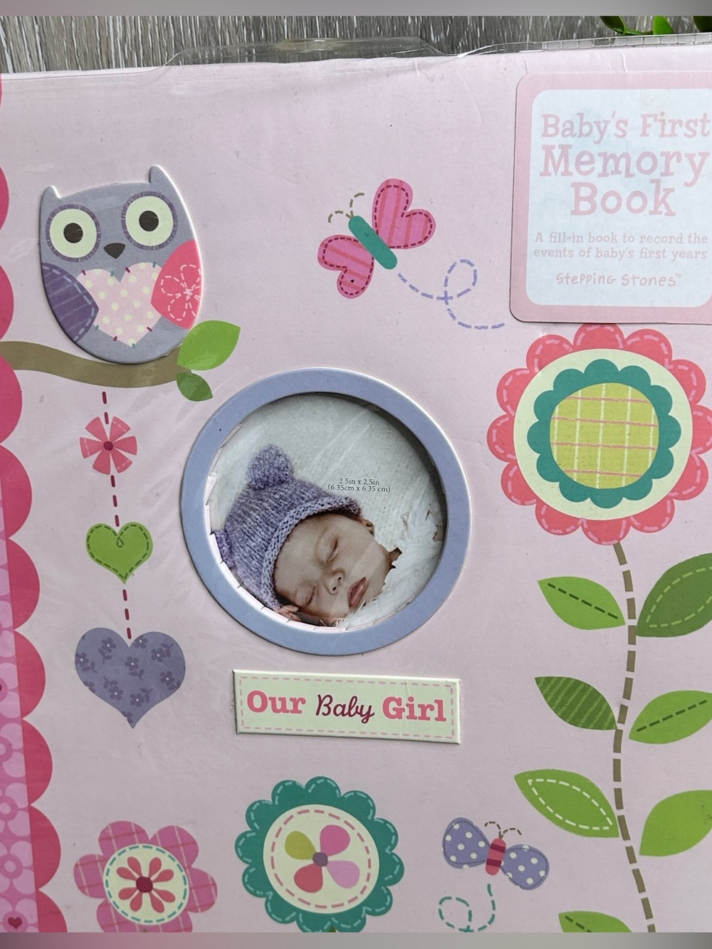 Baby Girl Memory Book • First Year Keepsake Journal • Stepping Stones Scrapbook